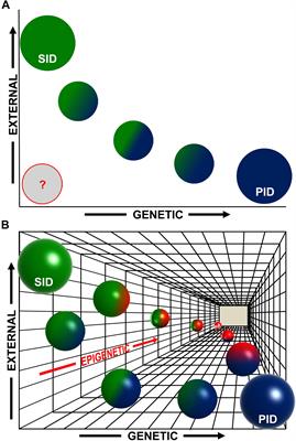 Epigenetic Priming in Immunodeficiencies